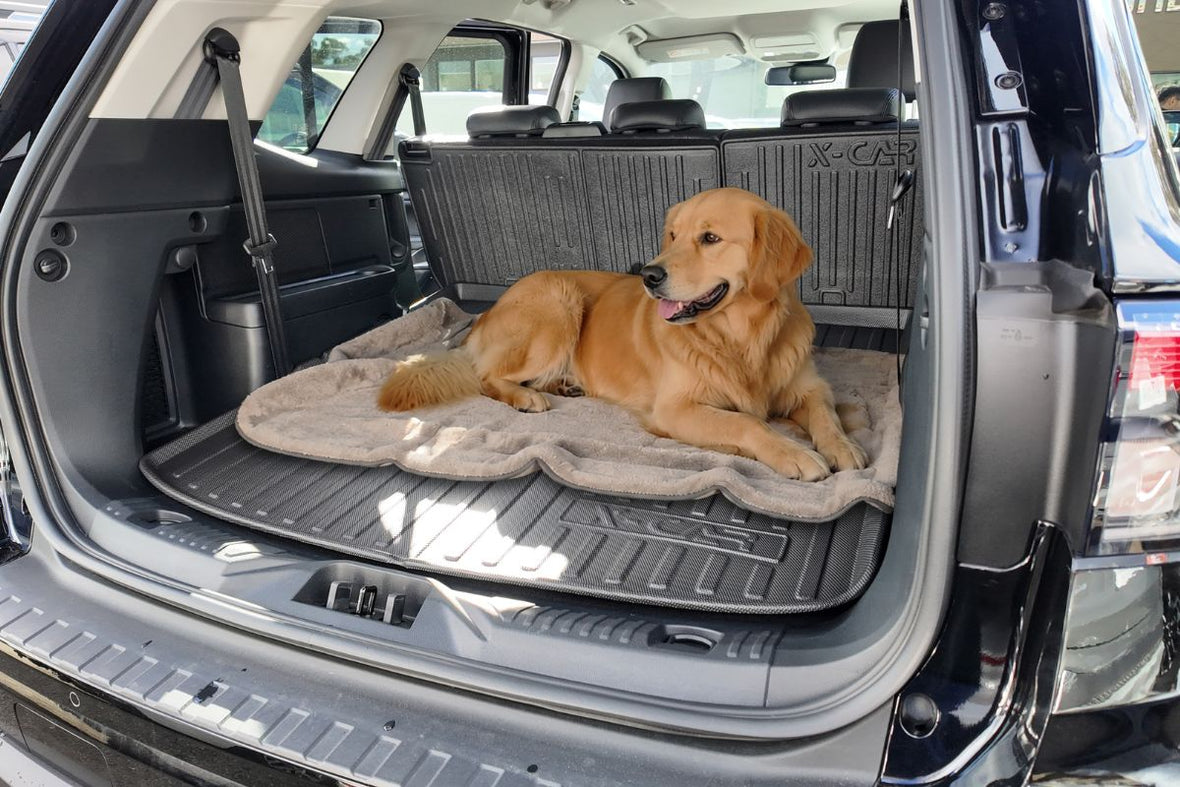 Best Car Accessories for Dog Owners